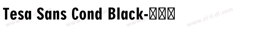 Tesa Sans Cond Black字体转换